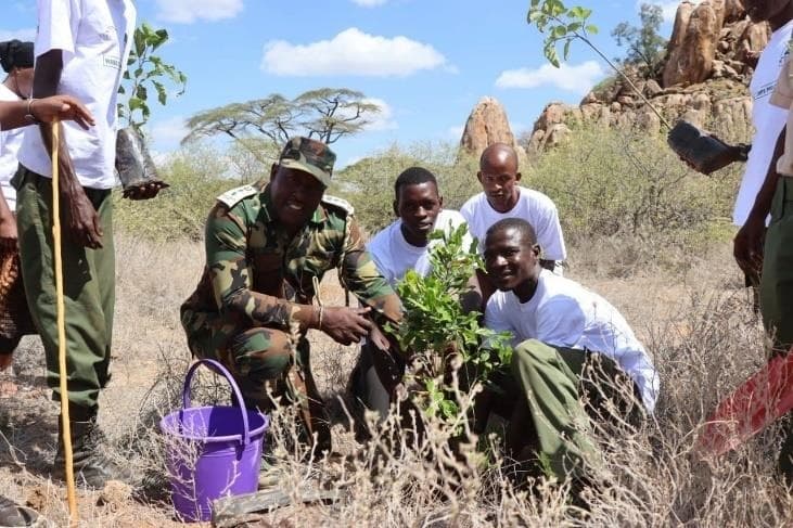 Wildlife rangers and youth volunteers planting indigenous trees under ASREP Africa's eco-champions programme